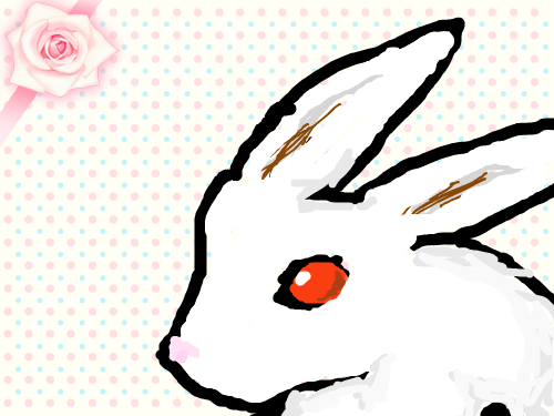 토끼다 : ㅋㄷ첫작 스케치판 ,sketchpan