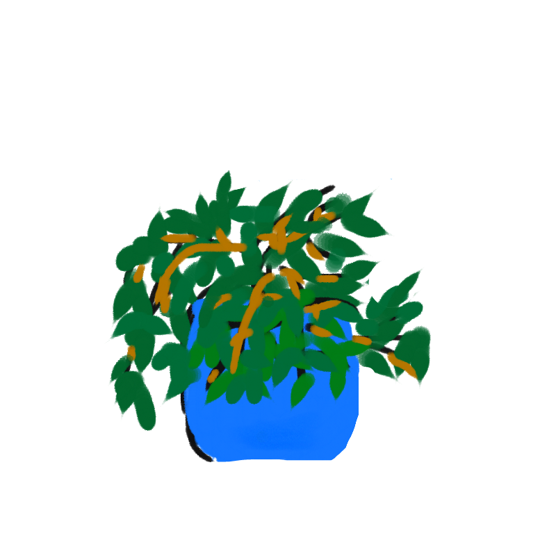 봄날의 그.. : 봄날의 그리움 스케치판 ,sketchpan