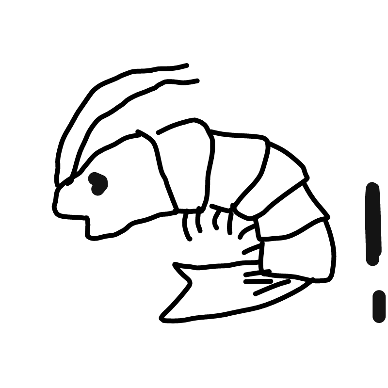 뭔가 잘그.. : 뭔가 잘그려진 새우 스케치판 ,sketchpan