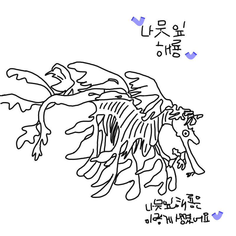나뭇잎해룡.. : 나뭇잎해룡입니다!! 스케치판 ,sketchpan