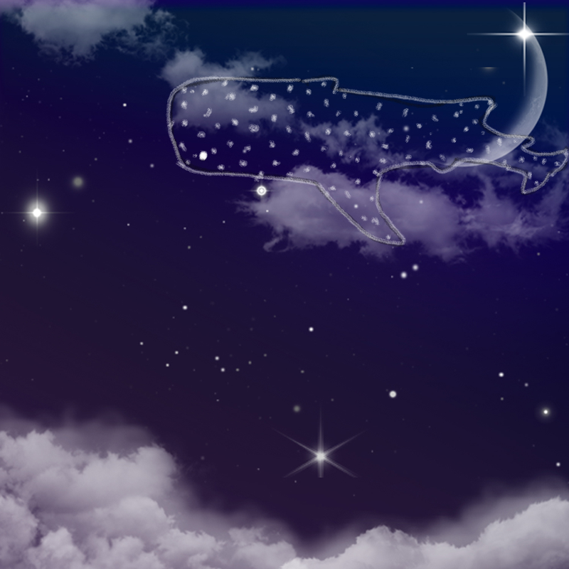 고래상어입.. : 고래상어입니다 스케치판 ,sketchpan