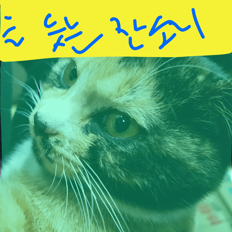 고쳤지만 .. : 고쳤지만 이번엔 모델이 무지개가 아니고 무려무려 우리집 냥이!!! 스케치판 ,sketchpan