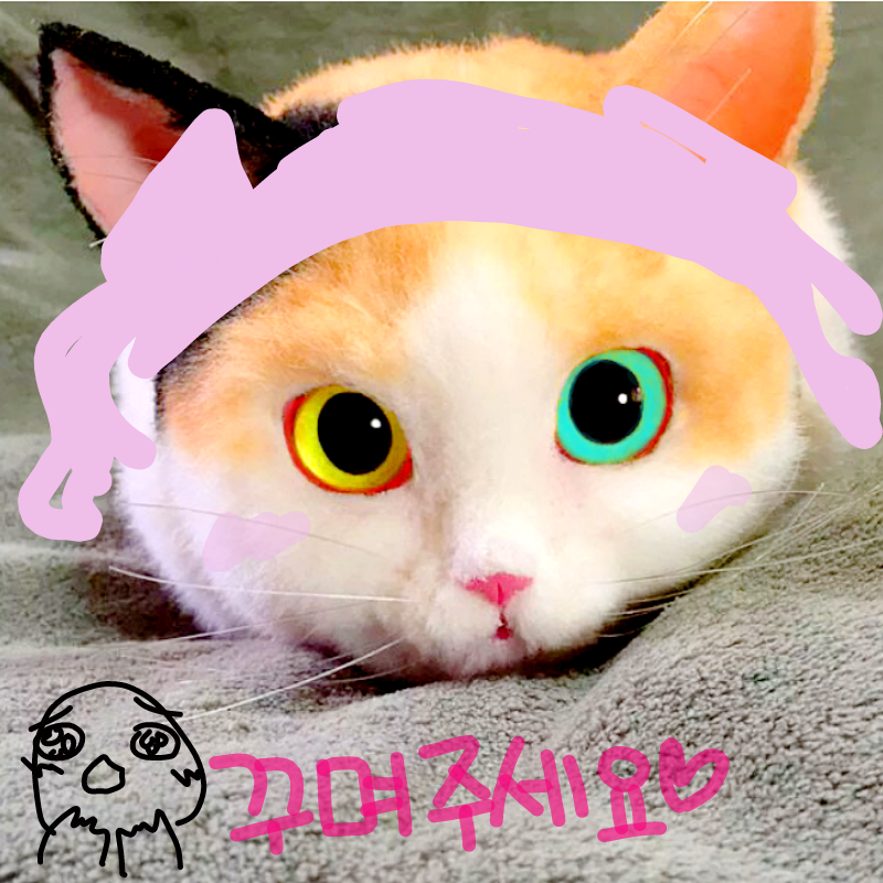 꾸몄♡.♡ : 꾸몄♡.♡ 스케치판 ,sketchpan