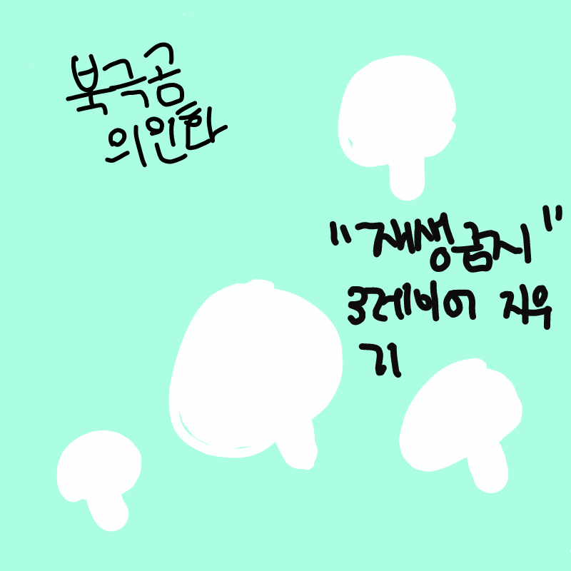 이것도 낼.. : 이것도 낼루 미러버려 스케치판 ,sketchpan
