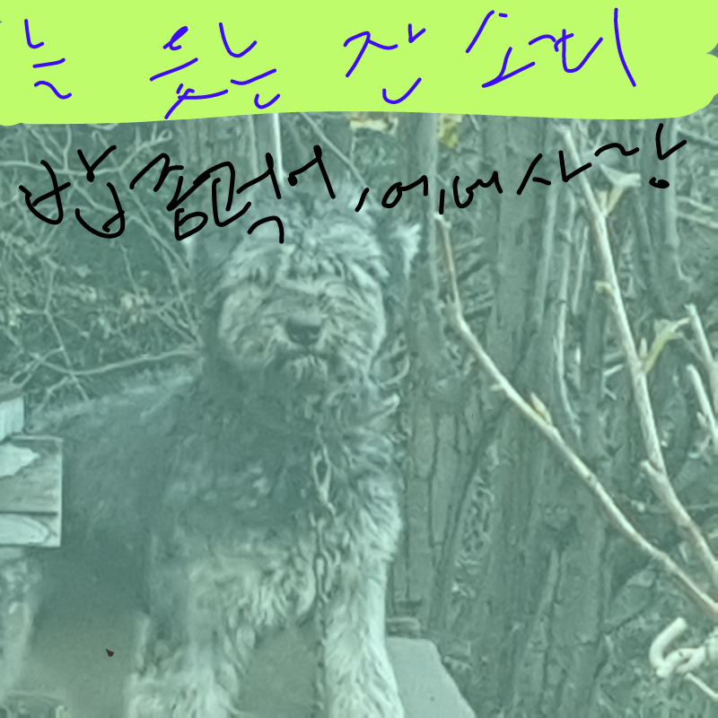 이런식으로.. : 이런식으로 하시면 됌니다 아무도 안하셔서... 여러명이 하는거에요 스케치판 ,sketchpan