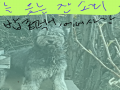 이런식으로.. : 이런식으로 하시면 됌니다 아무도 안하셔서... 여러명이 하는거에요 스케치판 ,sketchpan
