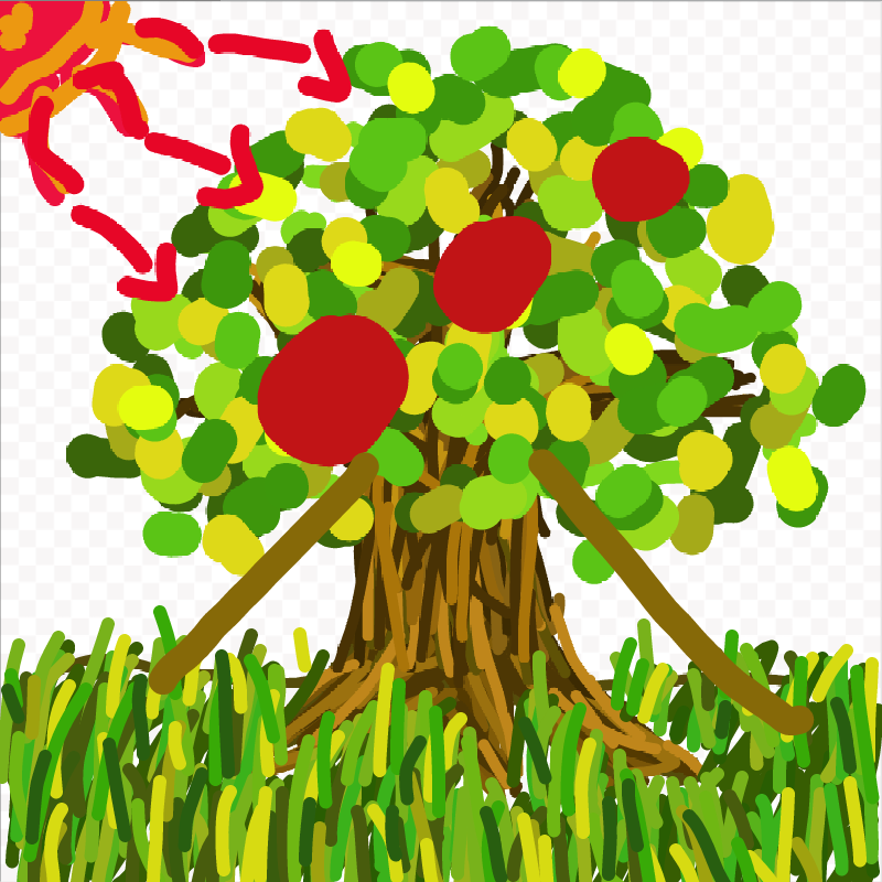 3대진단 나.. : 3대진단 나무 스케치판 ,sketchpan