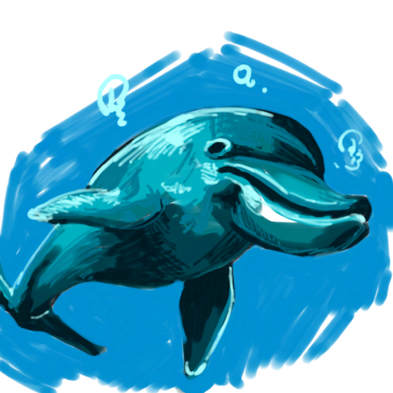 dolphin : dolphin 스케치판 ,sketchpan
