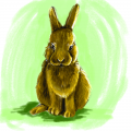 rabbit : rabbit 스케치판 ,sketchpan