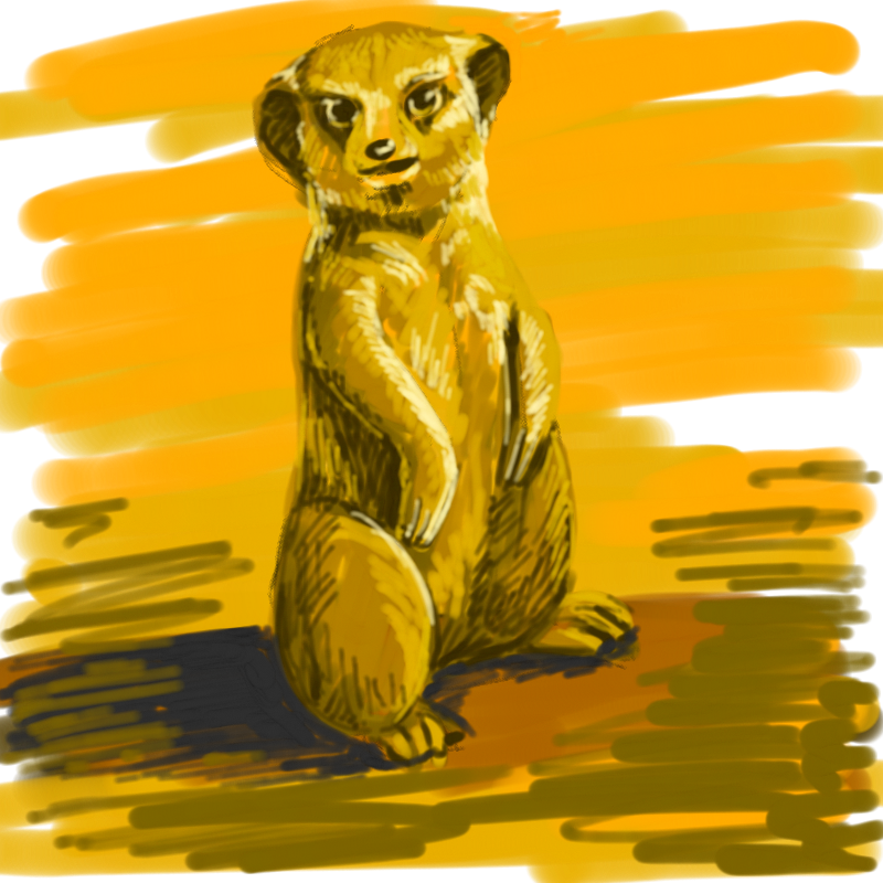 미어캣 : 미어캣 스케치판 ,sketchpan