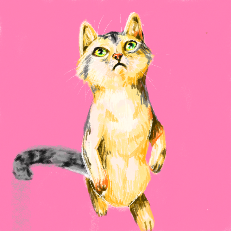 뭐보고있.. : 뭐보고있니 스케치판 ,sketchpan