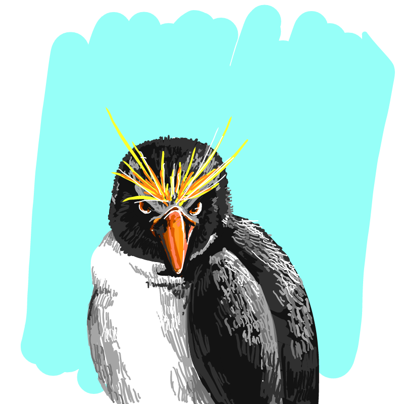 penguin : penguin 스케치판 ,sketchpan