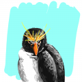 penguin : penguin 스케치판 ,sketchpan