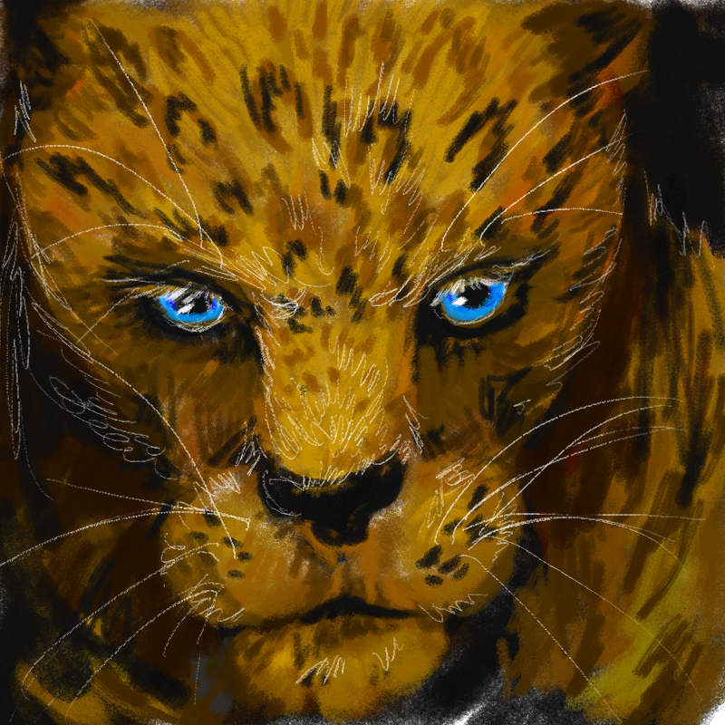   :   스케치판 ,sketchpan