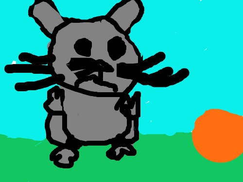 삼일초고양이그리기 : 삼일초고양이그리기 스케치판 ,sketchpan