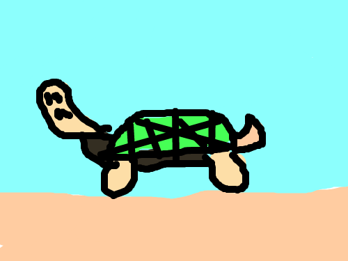 삼일초거북그리기 : 삼일초거북그리기 스케치판 ,sketchpan