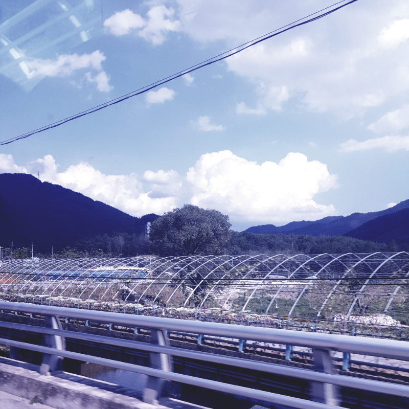 휴가는 영.. : 휴가는 영월로ㅋ
지금은 걍 쉬는중ㅋ 스케치판 ,sketchpan