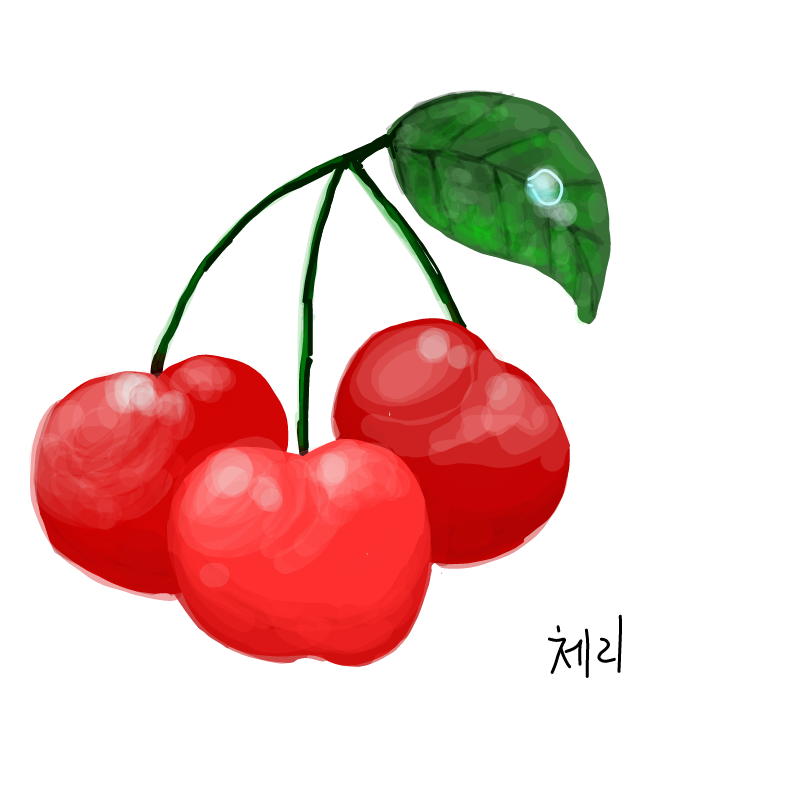 체리 : 체리 스케치판 ,sketchpan
