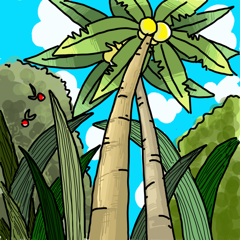 정글의법칙.. : 정글의법칙보다가 야자수...ㅋ 스케치판 ,sketchpan