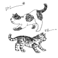   :   스케치판 ,sketchpan