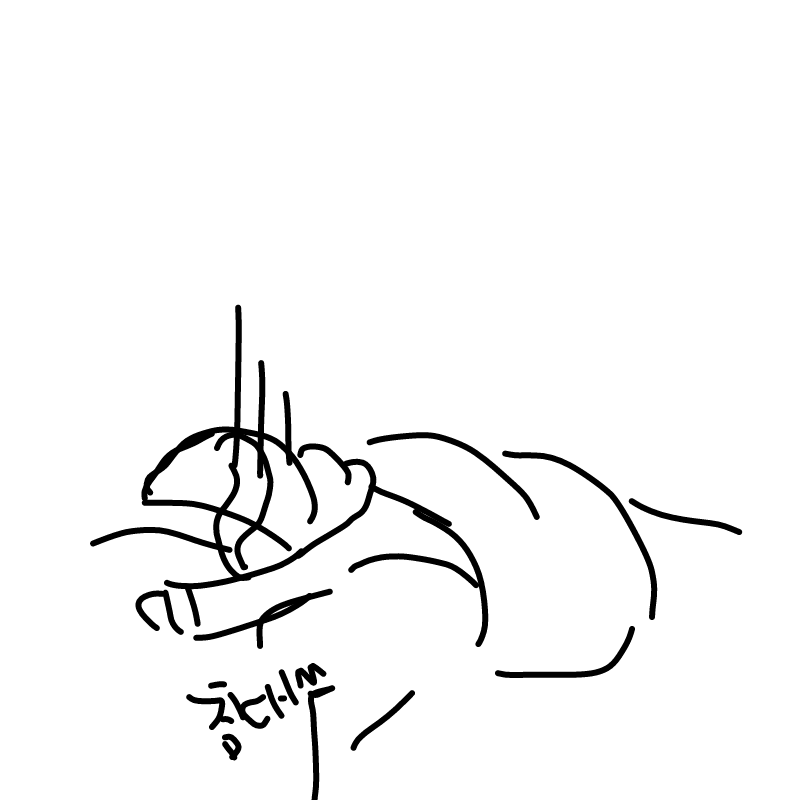 차타기 싫.. : 차타기 싫다 스케치판 ,sketchpan
