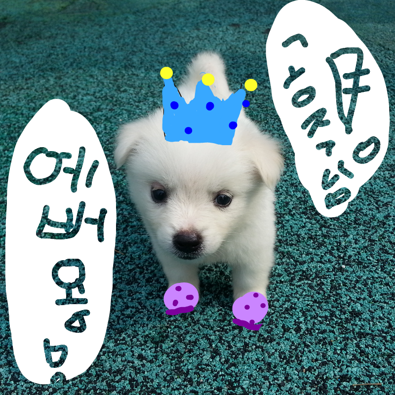 솜사탕 꼬.. : 솜사탕 꼬미 스케치판 ,sketchpan