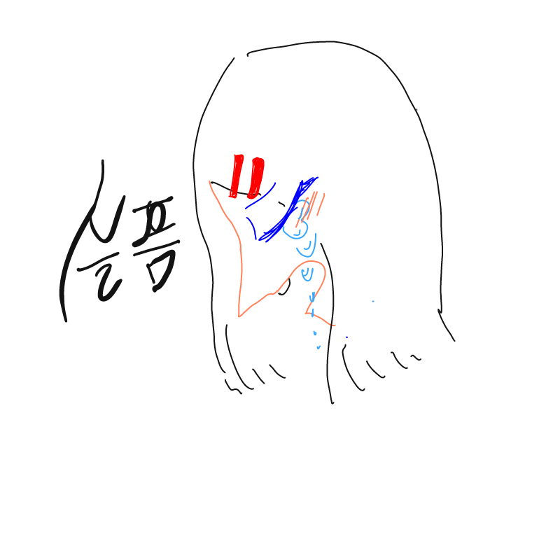 &nbsp; : &nbsp; 스케치판 ,sketchpan