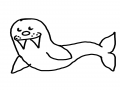 Seal : Seal 스케치판 ,sketchpan