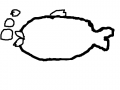 물고기 : 귀엽다. 스케치판 ,sketchpan
