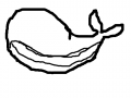돌고래 : 귀엽다. 스케치판 ,sketchpan
