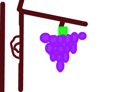 포도 나무 : 탐스럽다. 스케치판 ,sketchpan