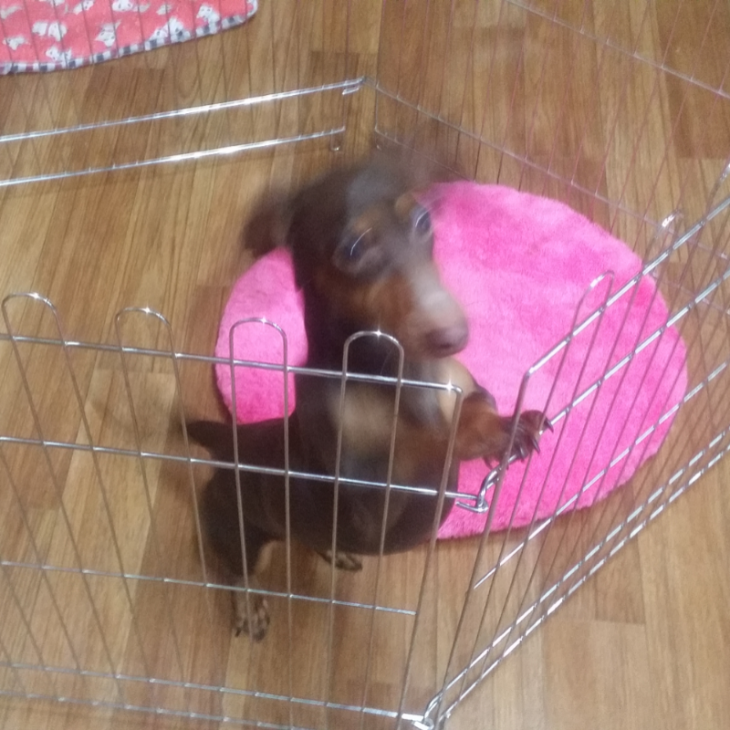 그만짖어 : 그만짖어 스케치판 ,sketchpan