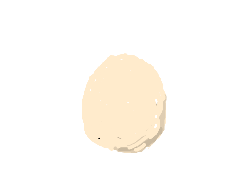 병아리 : 병아리가 태어난모습 스케치판 ,sketchpan