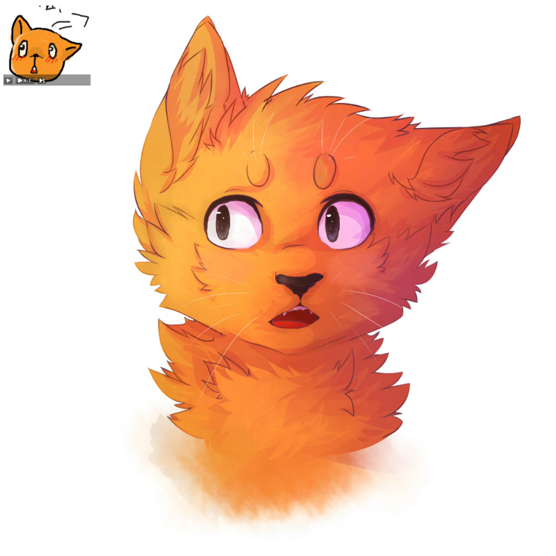  :   스케치판 ,sketchpan