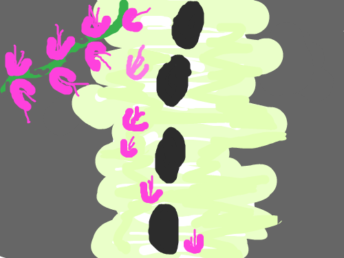 abcde : edcba 스케치판 ,sketchpan