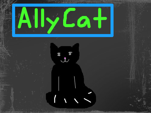 Ally cat : cat in the ally 스케치판 ,sketchpan