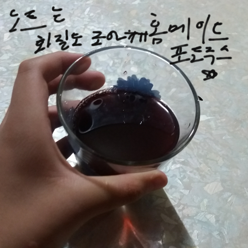 집에 썩어.. : 집에 썩어가는 포도들이 산더미이길래 만들어주셨다
잇히 스케치판 ,sketchpan