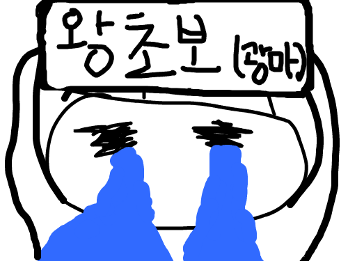 왕초보 : 첨이에영 ㅋㅋㅋㅋㅋㅋㅋㅋㅋㅋㅋㅋㅋ 스케치판 ,sketchpan