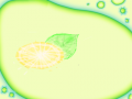 레몬 : 상큼한 레몬이다 스케치판 ,sketchpan