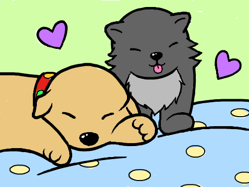 강아지와 고양이 : 강아지와 고양이 스케치판 ,sketchpan