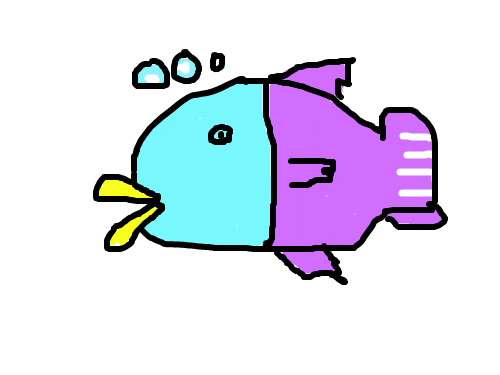 처음그린물고기 : 코믹적이다. 스케치판 ,sketchpan