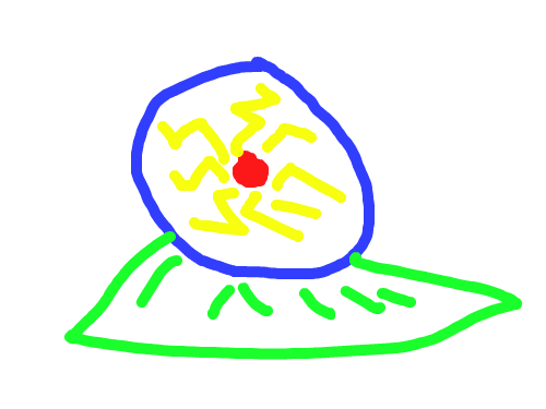 vbm : fjfjfgj 스케치판 ,sketchpan