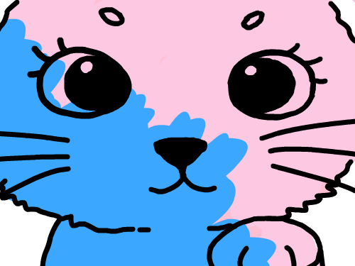 염색한 고양이^^ : 고양이가 염색을 하다!! 스케치판 ,sketchpan