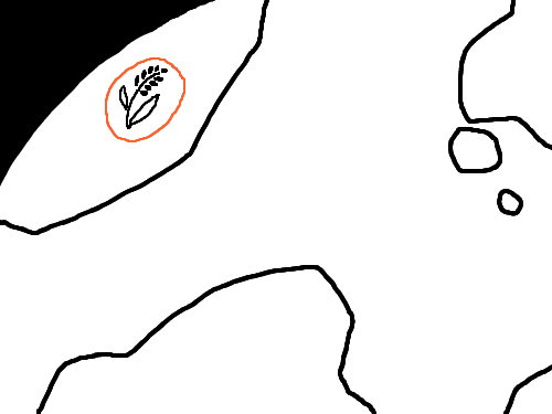 export : - export : 수출하다; 수출(품)(↔import) 스케치판 ,sketchpan