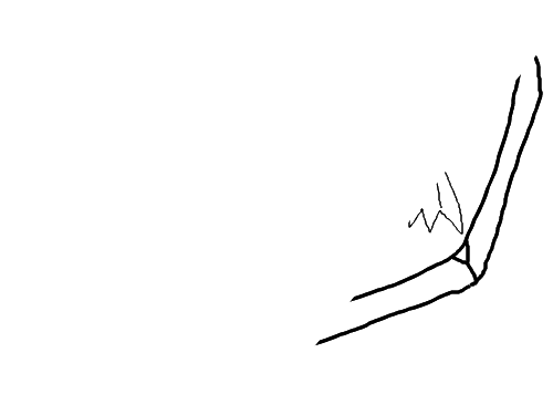 fossil : - fossil : 화석 스케치판 ,sketchpan