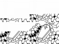 funeral : - funeral : 장례식 스케치판 ,sketchpan
