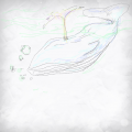 꿈고래 : 꿈고래 스케치판 ,sketchpan
