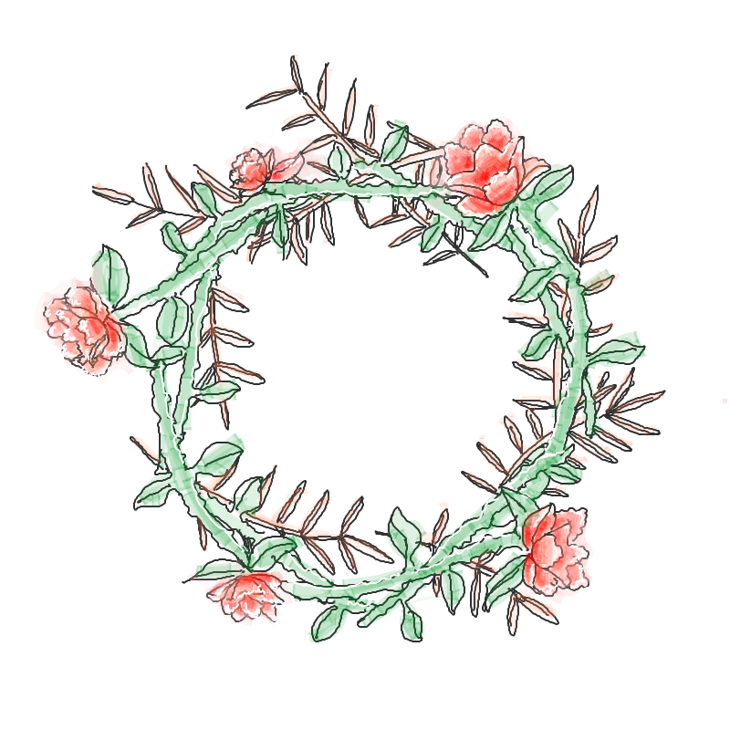 덩굴 : 덩굴 스케치판 ,sketchpan