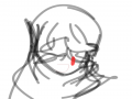   :   스케치판 ,sketchpan