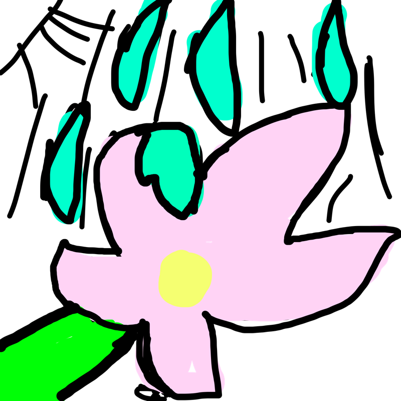 꽃 : 꽃 스케치판 ,sketchpan